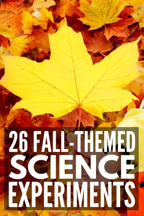 Fall Experiments For Kindergarten, Fall Preschool Experiments, Fall Stem Activities For Kids Preschool, Fall Harvest Science Preschool, Autumn Science Experiments Preschool, September Science Experiments, September Science Preschool, October After School Activities, Fall Science Activities Elementary