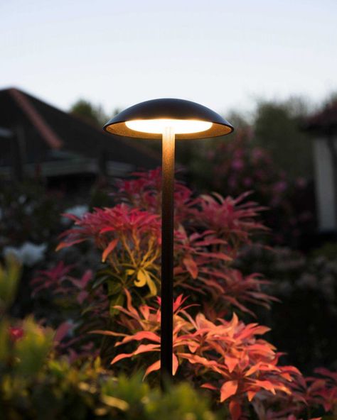 Mushroom Mushroom Light, Hotel Bali, Stone Lighting, Garden Mushrooms, Mushroom Lights, Dark Skies, Private Garden, External Lighting, Lamp Post