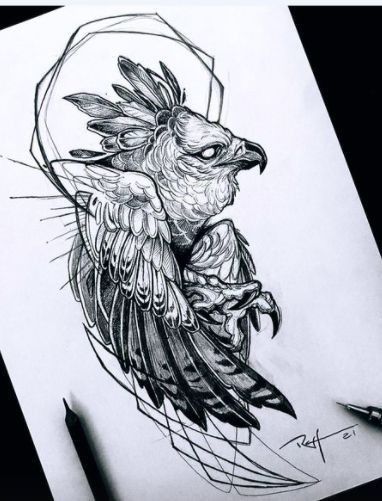 Eagle Head Tattoo, Owl Tattoo Drawings, Hawk Tattoo, Harpy Eagle, Petit Tattoo, Clever Tattoos, Greek Tattoos, Eagle Tattoo, Tattoo Project