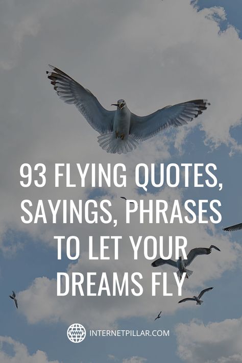 93 Flying Quotes, Sayings, Phrases to Let Your Dreams Fly - #quotes #bestquotes #dailyquotes #sayings #captions #famousquotes #deepquotes #powerfulquotes #lifequotes #inspiration #motivation #internetpillar Wings Sayings Quotes, Quotes About Flying Wings, Learning To Fly Quotes, Fly High Quotes Inspiration, Soaring High Quotes, Quotes On Flying High, Flight Quotes Inspiration, Fly Quotes Inspiration Life, Airplane Love Quotes