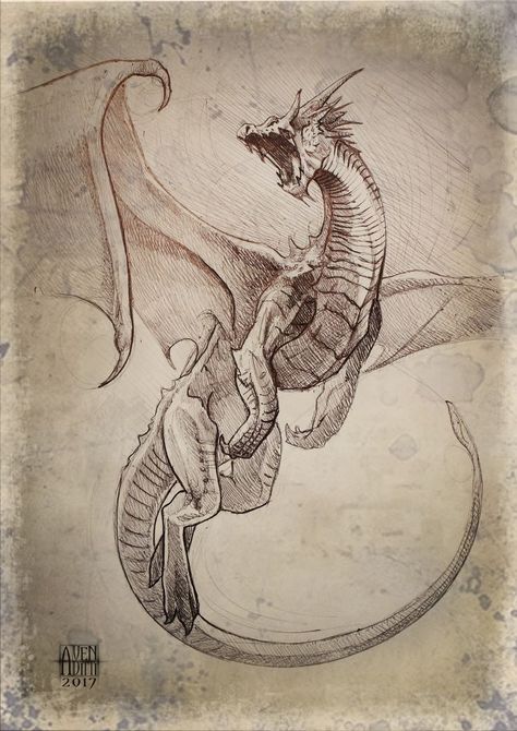 Kunst Tattoos, Dragon Sketch, Fantasy Drawings, Dragon Tattoo Designs, Dragon Pictures, Desenho Tattoo, Dragon Artwork, Dragon Drawing, Fantasy Dragon