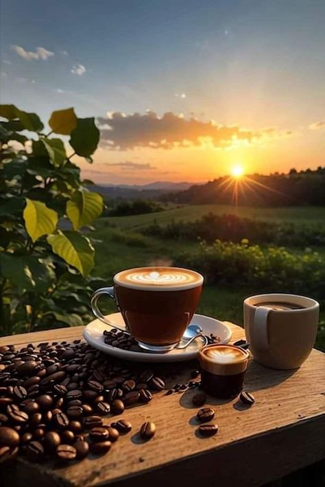 Sunrise Coffee, Good Morning Coffee Images, Morning Coffee Images, Amazing Food Decoration, Glass Photography, Good Morning Beautiful Pictures, Good Morning Flowers Gif, Coffee Pictures, Art Gallery Wallpaper