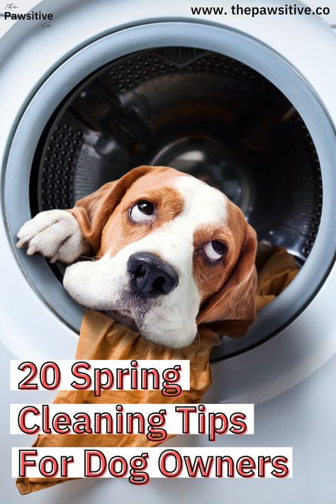 Cleaning Hacks With Dogs, Dog Cleaning Tips House, Cleaning Schedule With Pets, Deep House Cleaning, Cleaning For Dog Owners, How To Keep A Clean House With Pets, Home Cleaning Tips, Spring Cleaning Tips, Cleaning Tips And Tricks