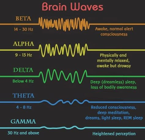 Across the human cortex there are electrical patterns, or brainwave frequencies. Brain Facts, Brain Science, Binaural Beats, Healing Frequencies, Deep Meditation, Medical Knowledge, Science Facts, Brain Waves, Energy Work