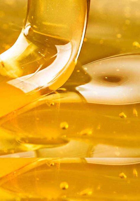 Health Benefits of Honey | IntechOpen Pseudomonas Aeruginosa, Gastrointestinal Disease, Types Of Honey, Reactive Oxygen Species, Candida Albicans, Honey Benefits, Alternative Medicine, Medicinal Plants, Health Benefits