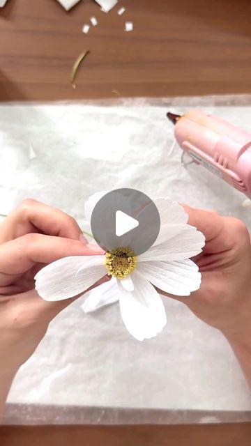 Watching Kate of @flowersby_kf show us how to craft paper Cosmos using CARTOTECNICA ROSSI CREPE PAPERS is such a relaxing activity. We su... | Instagram Paper Cosmos Flowers Diy, Crepe Paper Cosmos Flowers, Crepe Paper Flower, How To Make Crepe, Cosmos Flowers, How To Craft, Relaxing Activities, Floral Craft, Paper Flower Tutorial