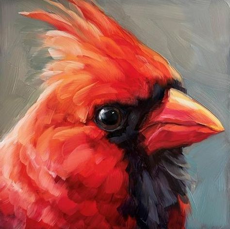 Cardinal Acrylic Painting, Holly Storlie, Head Painting, Cardinal Painting, Selling Ideas, Painting Birds, Bird Paintings, Artwork Inspiration, Paint Nite