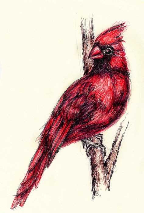 Red Blue And Black Pen Sketch, Gel Pen Drawings Ideas, Ballpoint Pen Art Sketches, Ballpoint Pen Drawing Sketches, Red Pen Sketch, Red Pen Art, Red Pen Drawings, Black Pen Sketches, Ballpoint Drawing