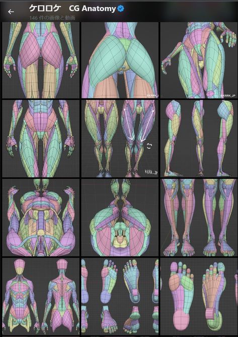 Drawing Basics Learning, Character Design Ideas, Education Drawing, Drawing Basics, Female Anatomy Reference, Learning Art, Anatomy Sculpture, Anatomy Tutorial, Body Drawing Tutorial