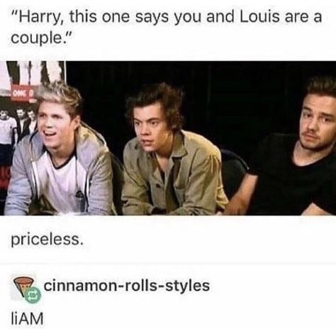 Larry Shippers, 1d Funny, One Direction Photos, Memes Hilarious, One Direction Humor, Mutual Respect, One Direction Memes, Louis And Harry, One Direction Pictures