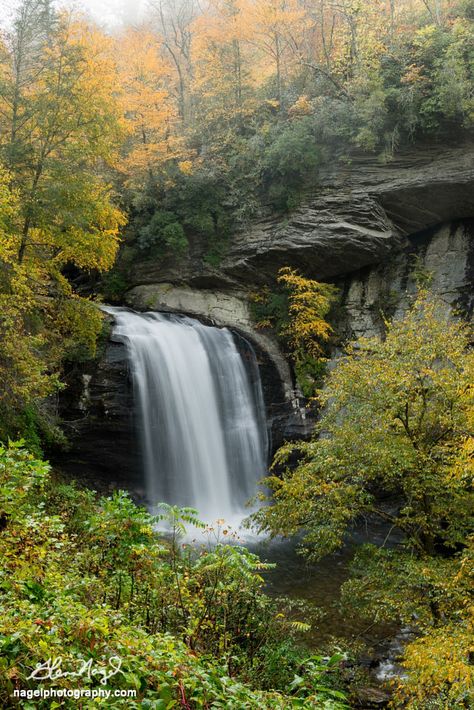 Looking Glass Falls, North Carolina by Glenn Nagel on 500px Brevard North Carolina, Bob Ross Paintings, Fall Images, Autumn Scenery, Beautiful Images Nature, Bob Ross, Beautiful Waterfalls, Fall Pictures, Nature Animals