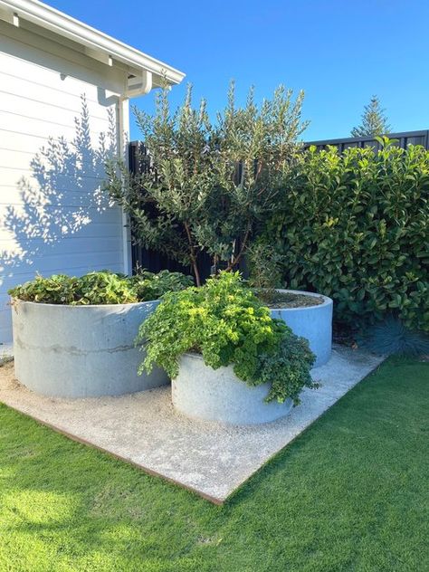 GALLERY — Bonnie Stacey Landscape Consultant Concrete Planters Garden, Circular Garden, Raised Garden Planters, Garden Magic, Simple Plan, Dry Garden, House Yard, Outdoor Room, Board Inspiration