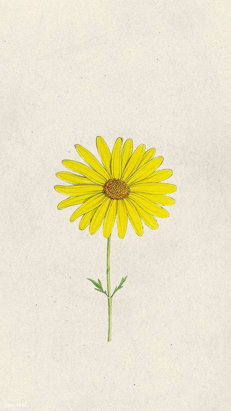 Yellow Daisy Drawing, Yellow Daisy Wallpaper, Yellow Poster Design, Yellow Flowers Drawing, Orange Paper Craft, Daisy Drawing, Bed Board, Yellow Daisy Flower, Mobile Phone Wallpaper