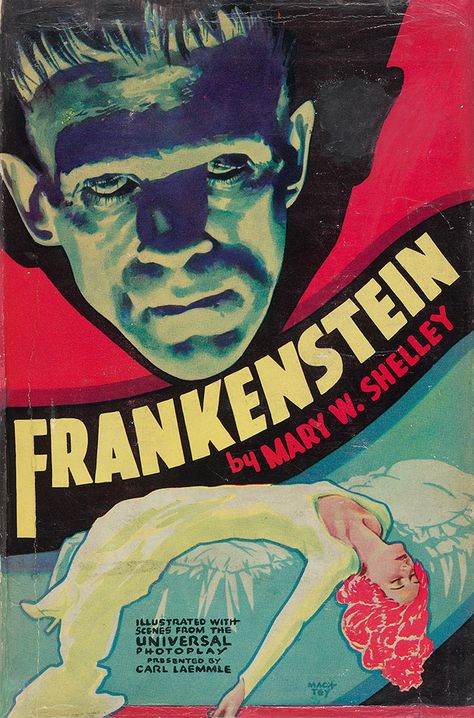 Frankenstein Book, Frankenstein 1931, The Modern Prometheus, Gothic Novel, Pulp Covers, Old Movie, Wedding Movies, Mary Shelley, Classic Horror Movies