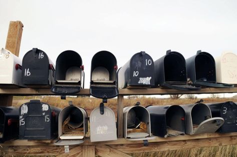 Rural Carrier, Postal Worker, United States Postal Service, The Fair, Postal Service, Delivery Service, Post Office, 21st Century, Period