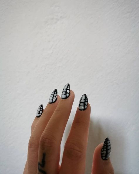 Short Snake Skin Nails, Blue Snake Skin Nails, Black And White Croc Nails, Alligator Skin Nails, Black Snake Skin Nails, Nails Inspiration Black And White, Snake Pattern Nails, White Snake Nails, Black Snake Nails