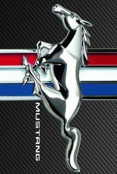 Old Mustang 1969, Old Mustang, Mustang 66, Mustang 1969, Ford Mustang 1967, Car Brands Logos, Retro Sign, Car Emblem, Hood Ornaments