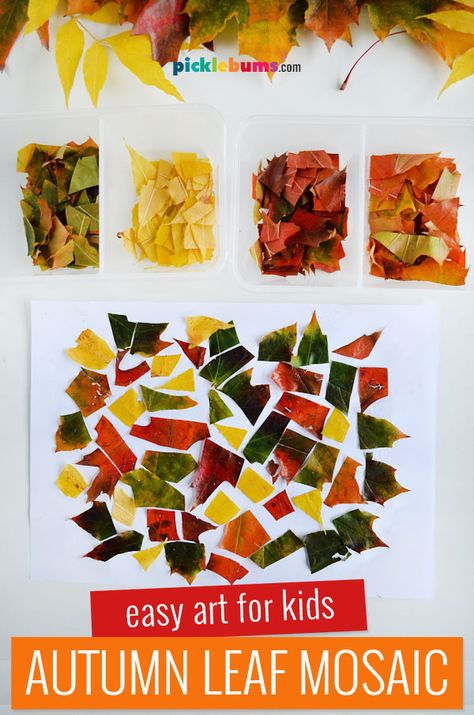 Autumn Leaf Mosaic Collage - Picklebums Mosaic Art For Kids, Leaf Lesson Plans, Fall Leaves Activities, Fall Leaf Art, Leaf Lessons, Leaf Mosaic, Mosaic Collage, Leaf Collage, Autumn Leaves Art