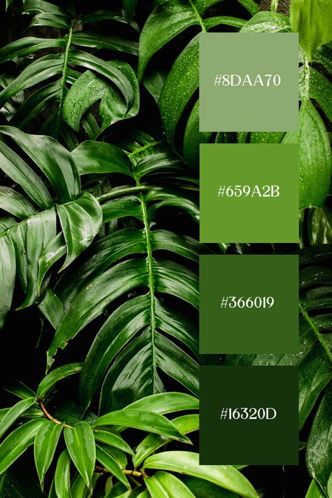 Forest Green Palette captures the lushness of tropical leaves in deep forest green. The glossy, rich green foliage creates a vibrant and exotic atmosphere. The intricate details and varying shades of green emphasize the lushness and beauty of the forest green palette. Palm Green Color Palette, Bright Green Palette, Vibrant Green Color Palette, Forest Green Palette, Jungle Color Palette, Forest Green Color Palette, Spa Interiors, Color Scheme Generator, Beach Color Palettes