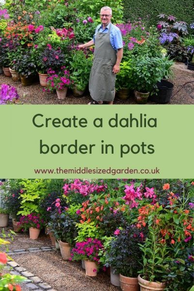 Garden With Plant Pots, Garden Plants In Pots, Large Container Garden Ideas, Dahlia Garden Ideas Design, English Container Garden, Landscaping With Dahlias, Garden With Dahlias, Beautiful Container Gardens, Cottage Garden In Pots