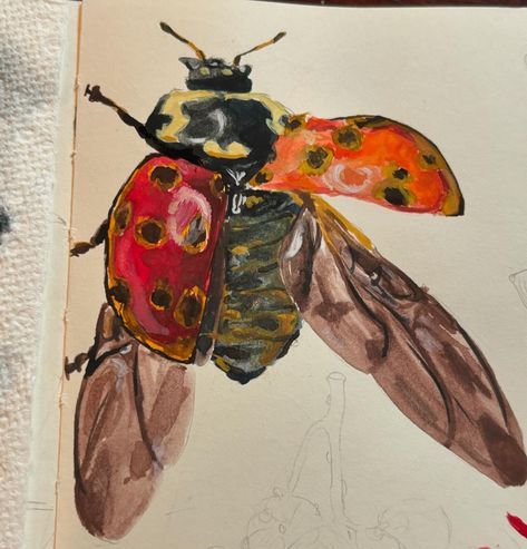 trying out my gouache paints! . . . . . . #art #artist #arts #artists #artistsoninstagram #paint #paints #painting #paintings #gouache #gouachepainting #gouacheart #gouachepaint #gouacheillustration #bug #ladybug #ladybirds #ladybugs #insect #bugs #ladybird #insects Ladybird Painting, Bugs Watercolor, Ladybird Aesthetic, Bugs Painting, Bug Paintings, Gcse Resources, Watercolor Bugs, Bug Painting, Paintings Gouache