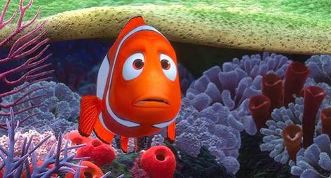 Marlin, Finding Nemo Marlin Finding Nemo, Marlin Nemo, Finding Nemo, Most Popular, History, Disney, Animals