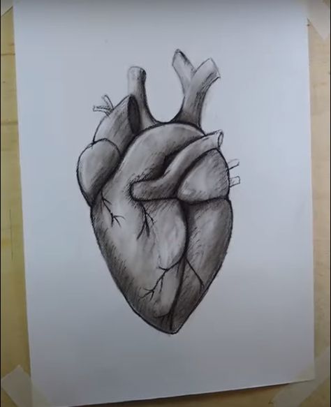 Shaded Heart Drawing, Human Heart Drawing Easy, Hardest Drawing, Drawing Ideas Hard, Face Pencil Sketch, Heart Realistic, Heart Step By Step, Pencil Sketches Of Faces, Easy Still Life Drawing