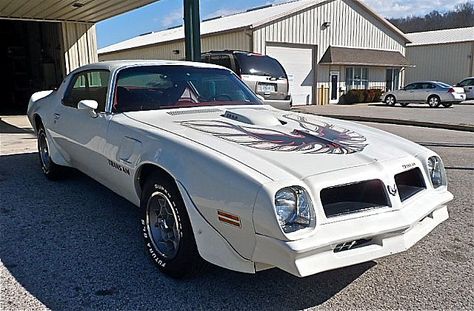 1976 Pontiac Trans Am for sale Trans Am Wallpaper, Pontiac Trans Am 1977, Am Wallpaper, Trans Am For Sale, Trans Am Firebird, Classic Camaro, Pontiac Trans Am, Pontiac Firebird Trans Am, Pontiac Cars