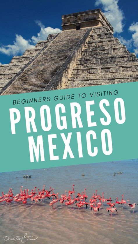Progreso Mexico is a tiny port town on the north coast of the Yucatan Peninsula. It is a popular cruise port and often dubbed the gateway to the Mayan Ruins. If you haven't been yet we recommend going for the   lovely Progreso Mexico beach and the Progreso Mexico excursions to places like Chichén Itzá and Uxmal. Mexico Travel Itinerary, Progresso Mexico, Mexico Excursions, Mexico Honeymoon, Slow Feeder Dog, Port Town, Mexico Beaches, Cruise Ports, Mexico Cruise