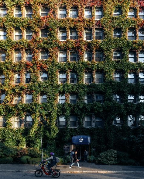 September 29 - The Sylvia Hotel, Vancouver, wearing red in Autumn (darko_stan) Vancouver Autumn, Super Natural, Wearing Red, British Columbia, Vancouver, Columbia, Hotel, Travel, Red