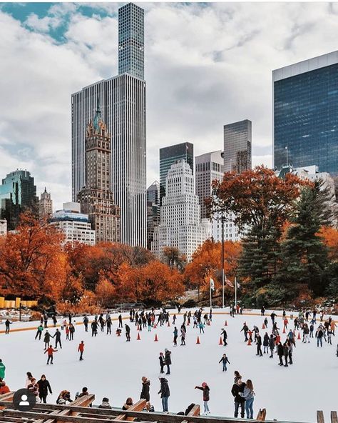 New York City on Instagram: “Favorite time of the year. Who’s going skating? This is the wollman rink in Central Park 📸 @ericknyc_” Christmas In New York Aesthetic, Nikon D500, Autumn In New York, Cool Winter, Travel Wallpaper, New York Photos, Plaza Hotel, Travel Illustration, City That Never Sleeps