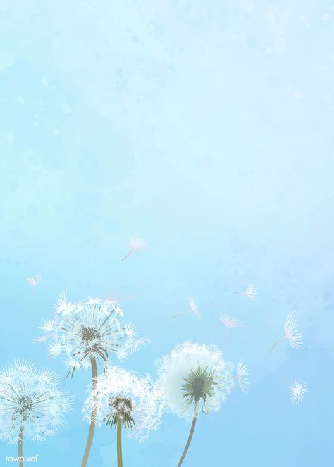 Hand drawn dandelions with a blue sky background | premium image by rawpixel.com Baby Blue Aesthetic, Light Blue Aesthetic, Blue Aesthetic Pastel, Blue Sky Background, Blue Pictures, Dandelion Flower, Sky Background, Picture Collage Wall, Photo Wall Collage