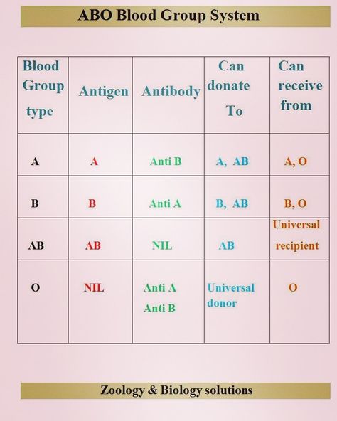 Abo Blood Group System, Medical Lab, Blood Groups, Blood Bank, Lab Rats, Zoology, Bank Notes, Biology, Youtube Channel