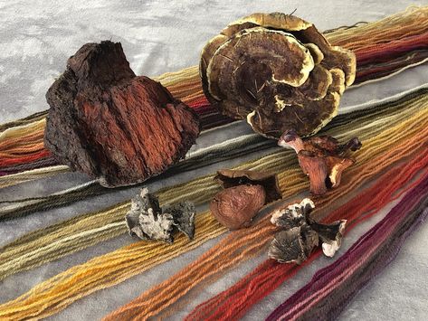 Mushroom Color, Dye Techniques, The Mushroom, Dye, Plants, Wood