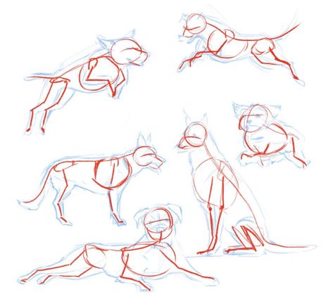 Dog Illustration Art, Dog Drawing Tutorial, Draw A Dog, Dog Anatomy, Sketches Of People, Dog Sketch, Doodle Art Drawing, Canine Art, Sketch Inspiration