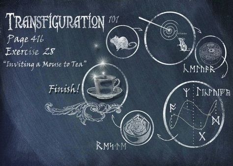 Transfiguration Harry Potter, Harry Potter Art Projects, Classroom Chalkboard, Harry Potter Prints, Harry Potter References, Harry Potter Props, Magic Birthday, Class Poster, Lily Potter