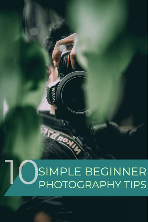 Basic Photography Tips, How To Start Photography Learning, Getting Into Photography, Tips For Photography Beginners, Household Photography, Beginner Photography Ideas, Mindful Photography, Beginner Photography Tips, Photography Aperture