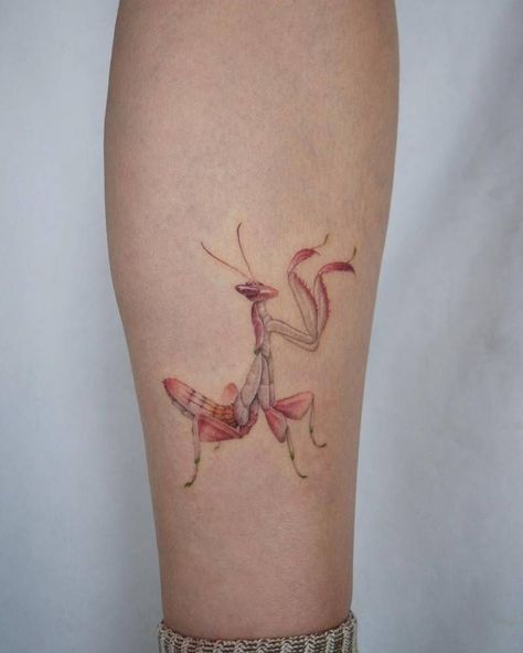 Micro-realistic praying mantis tattoo Praying Mantis Tattoo, Mantis Tattoo, Symmetrical Tattoo, Orchid Tattoo, Bug Tattoo, Insect Tattoo, Sick Tattoo, Sweet Tattoos, Cute Little Tattoos