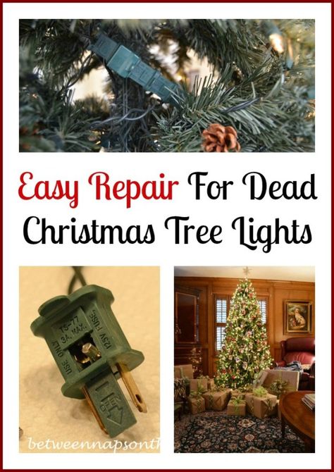 Don't Throw Out Those Dead Christmas Tree Lights - Here are some tips on how you can fix them... Christmas Sparkle, Christmas Punch, Christmas Tree Lights, Xmas Deco, Interior Decorator, Tree Lights, Tree Trimming, Holiday Centerpieces, Christmas Goodies