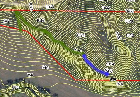 2-foot contour map showing the plan for the keyline path. Mushroom Hunting, Contour Line, Contour Map, Farm Design, Header Photo, The Plan, Permaculture, Fruit Trees, Daffodils