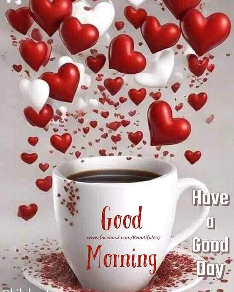 Valentines Greetings For Friends, Good Morning Coffee With Red Rose Flower, Good Morning Meaningful Quotes, Happy Valentines Day Wishes, Good Morning Msg, Winter Pics, Morning Msg, Good Morning Beautiful Meme, Morning Sweetheart