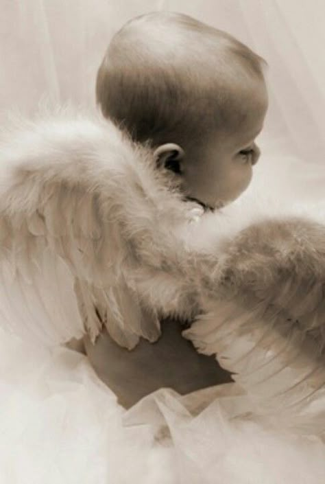 Baby angel Twinless Twin, Angel Baby Pictures, Vanishing Twin Syndrome, Twin Quotes, I Believe In Angels, Ange Demon, Identical Twins, Angels Among Us, Angels In Heaven