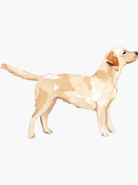 Yellow Lab Drawing, Watercolor Dogs Easy, Watercolor Labrador, Watercolor Golden Retriever, Watercolor Dogs, Dog Watercolor, Yellow Lab Watercolor, Yellow Lab Art, Golden Retriever Watercolor