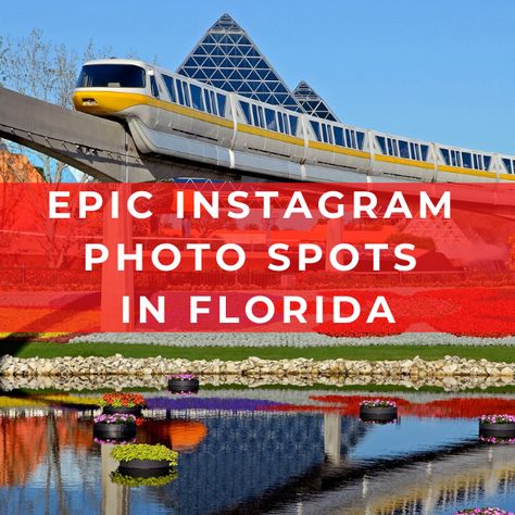 Epic Instagram Photo Spots in Florida Orlando Florida Instagram Spots, Hidden Gems Florida, Island Of Adventure Orlando Pictures, Orlando Florida Photography, Orlando Photoshoot Locations, Downtown Orlando, Most Instagrammable Places, Instagrammable Places, Disney Trip