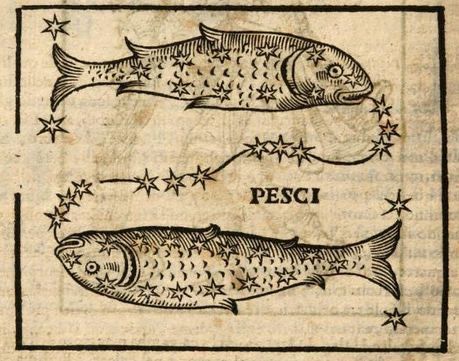 Fish Engraving Illustration, Pieces Tattoo Zodiac, Zodiac Art Illustrations, Zodiac Signs Illustration, Fish Engraving, Fish Sign, Astrology Aesthetic, American Traditional Tattoo Ideas, Traditional Tattoo Ideas