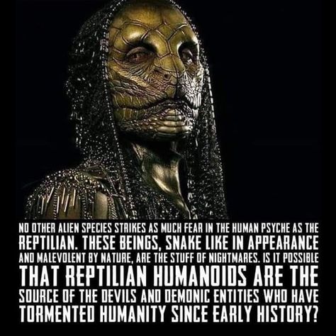 Reptilian People, Lizard People, Alien Theories, Aliens History, Ancient History Facts, History Facts Interesting, Legends And Myths, Ancient Mesopotamia, Ancient Civilization