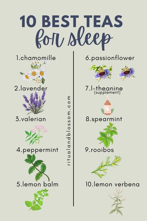 list of best teas for sleep Teas For Sleep, Best Tea For Sleep, Herbs For Sleep, Tea Before Bed, Bedtime Tea, Best Teas, Spearmint Tea, Sleep Drink, Sleep Tea