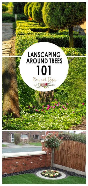 Lanscaping Around Trees 101 - Bees and Roses Tree Beds Landscaping, Tree Landscaping Ideas Backyards, Tree Planters Landscape, Landscape Design Around Trees, Raised Beds Around Trees, Garden Bed Around Tree, Large Tree Landscaping, Raised Bed Around Tree, Tree Landscaping