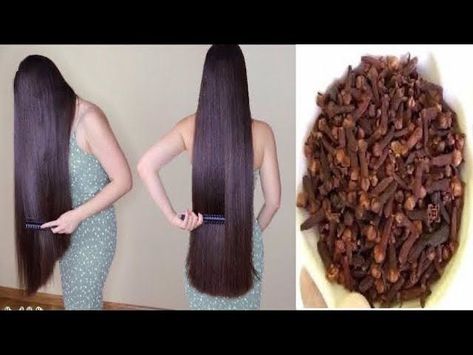 Long Hair Growing Tips, Cloves For Hair Growth, Henna For Hair Growth, Indian Hair Growth Secrets, Hair Thickening Remedies, Thicken Hair Naturally, Grow Thick Long Hair, Growing Long Hair Faster, How To Grow Hair