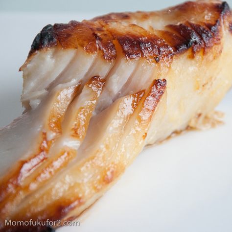 Miso Marinated Black Cod Sable Fish, Sablefish Recipes, Black Cod Recipe, Marinated Cod, Cod Baked, Miso Marinade, Miso Cod, Butter Fish, Cod Recipe